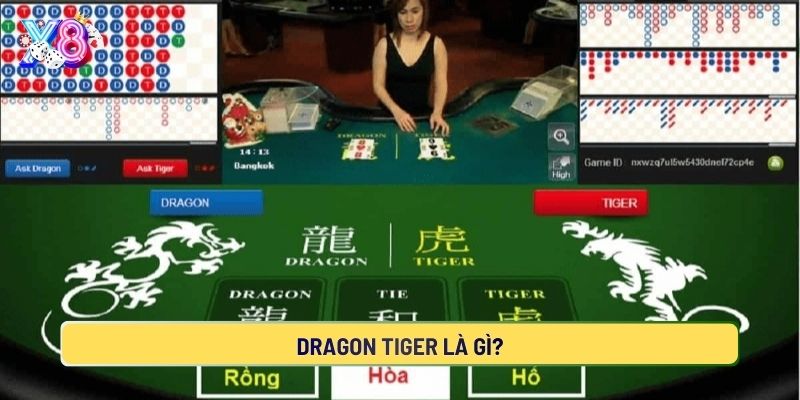 Tìm hiểu về Rồng Hổ là gì?